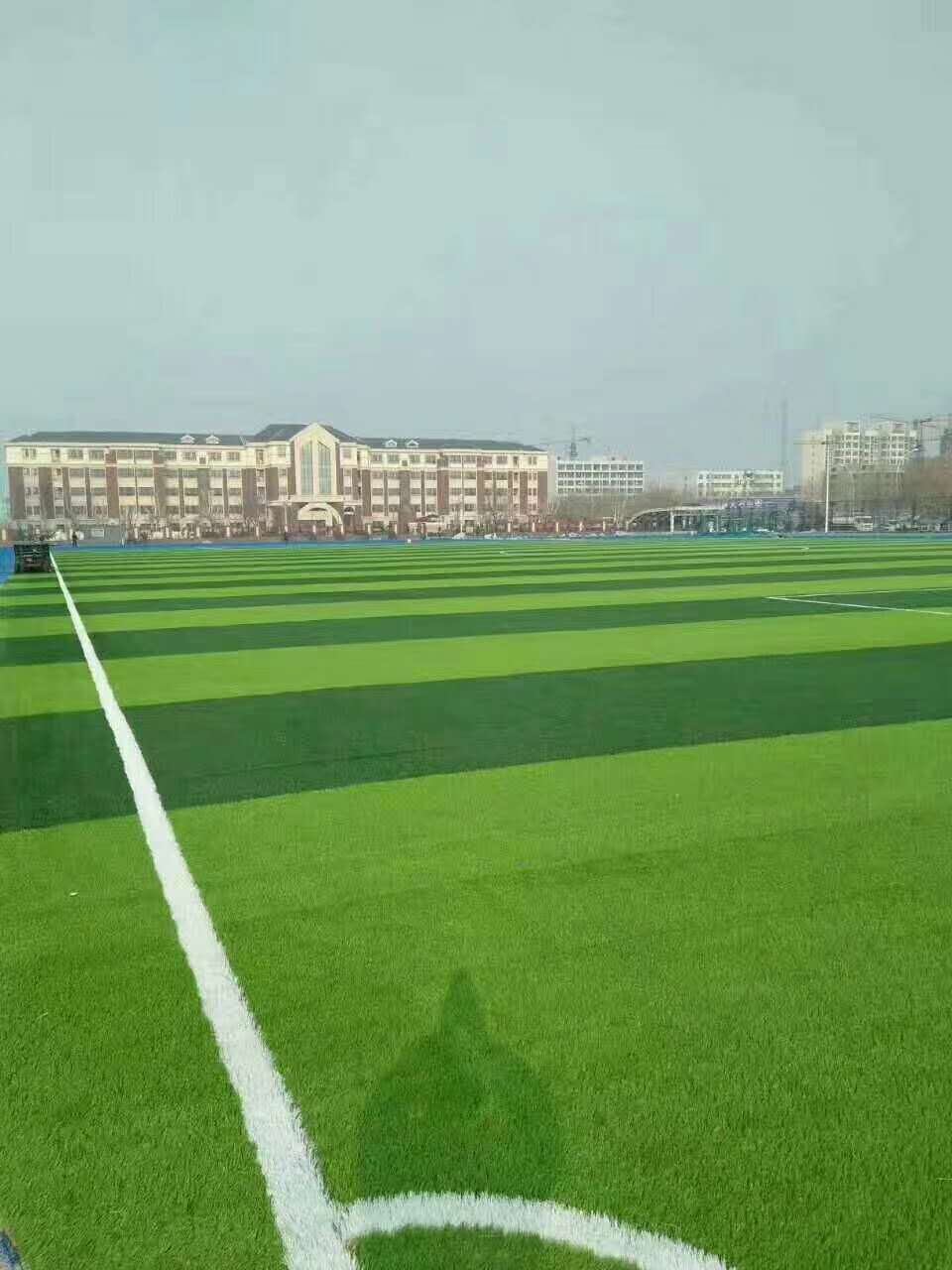 天津市epdm塑胶跑道仿真草坪 - 哪里好